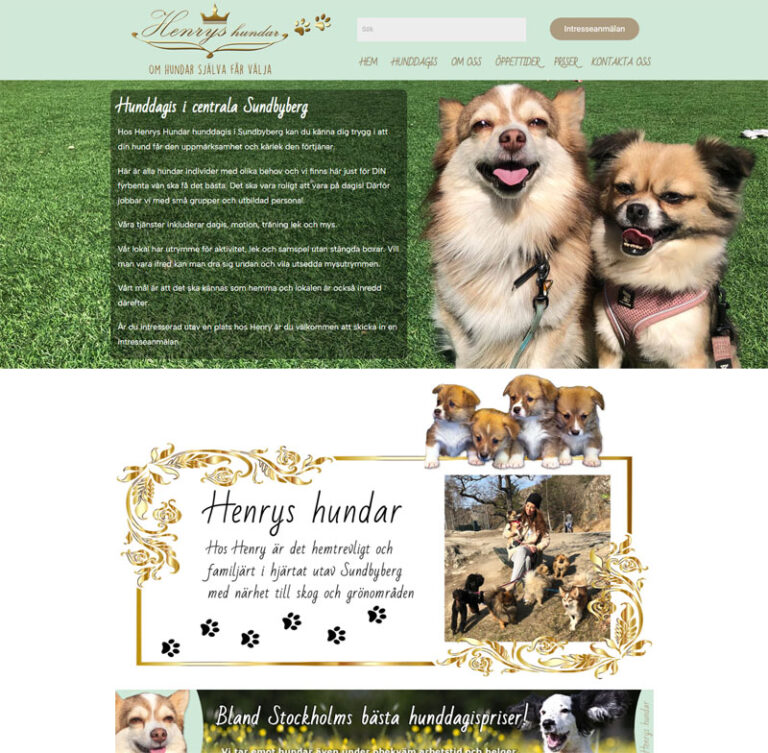 Läs mer om artikeln Ny hemsida Hunddagis i Sundbyberg – Henrys Hundar